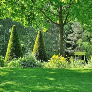 jardin à l'anglaise