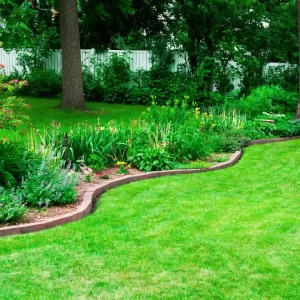 parterre de fleurs