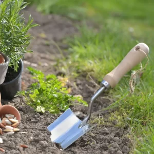 plantation en pleine terre